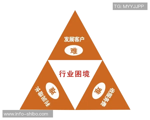 中赫持续依赖投资人支持与商业收入维持运营困境