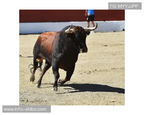 阿隆索与贝林关系紧张或因不自信导致矛盾加剧的深层原因分析
